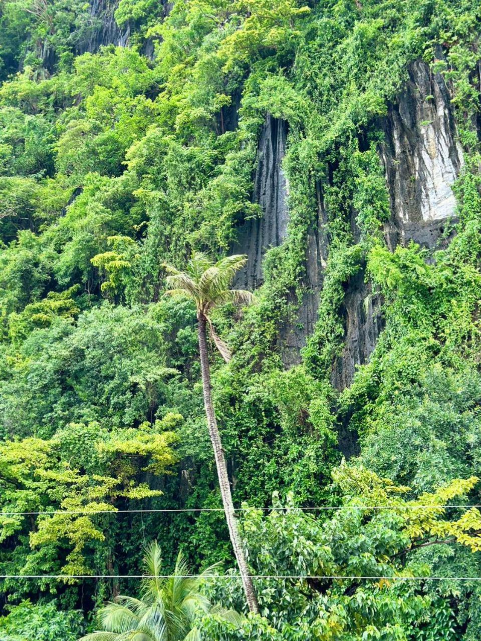 Mayad El Nido Inn Exteriör bild